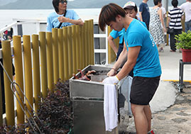 BBQ